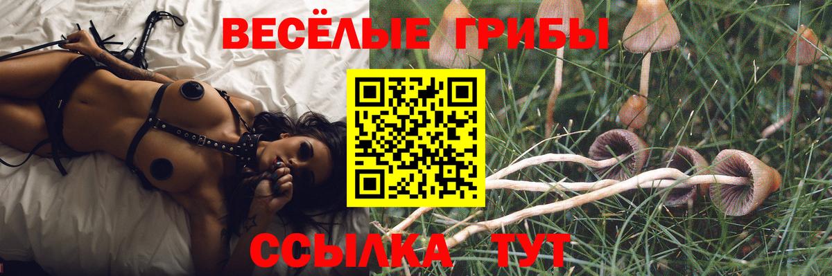 Галлюциногенные грибы MAGIC MUSHROOMS  Вход с VPN  цена наркотик  Трёхгорный 